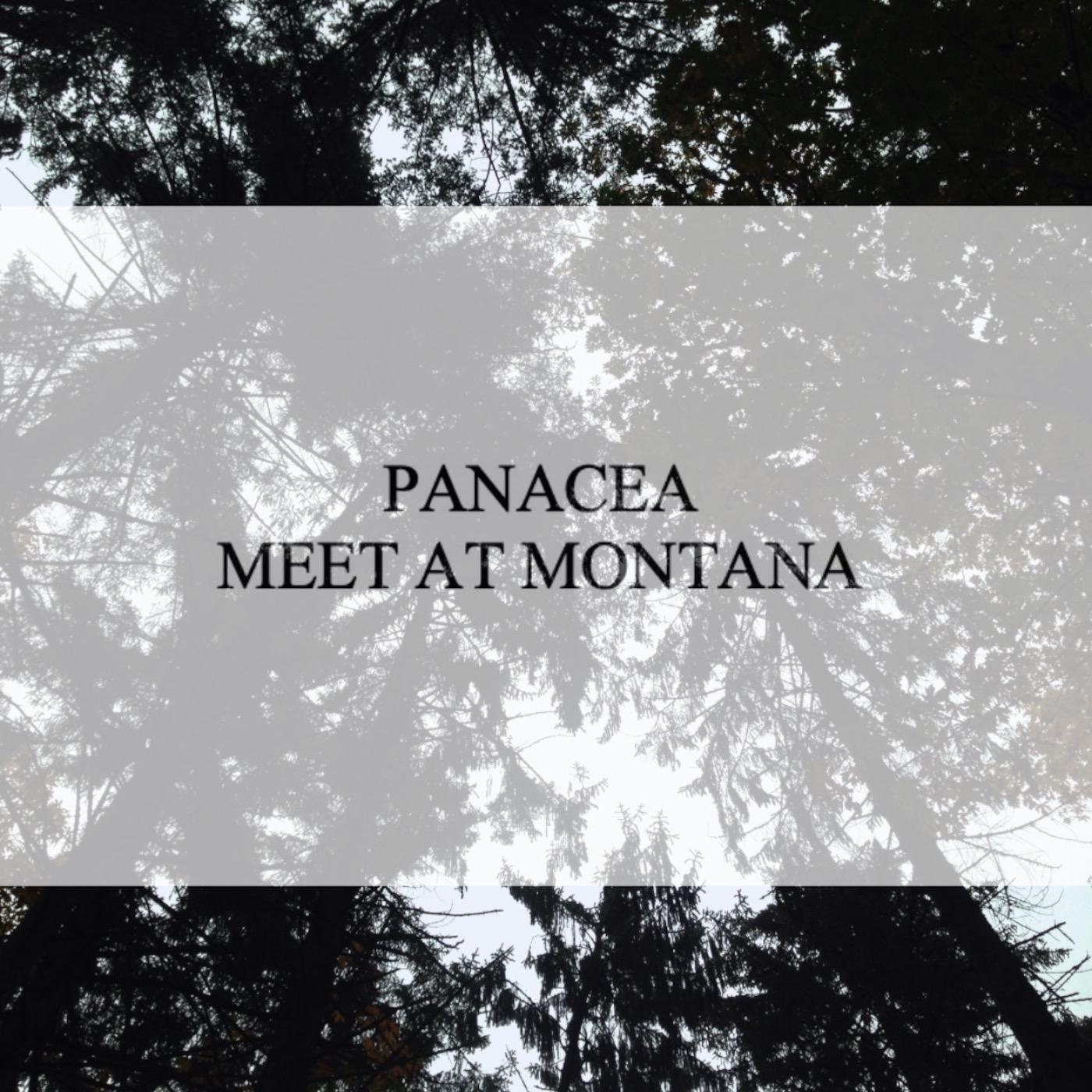 Meet at Montana