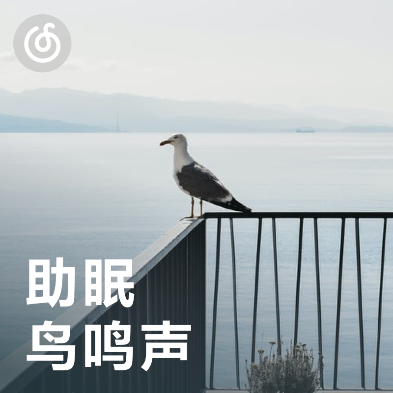 [助眠鸟鸣声] 置身热带雨林 听见鸟语花香