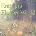 Entering Flower World专辑