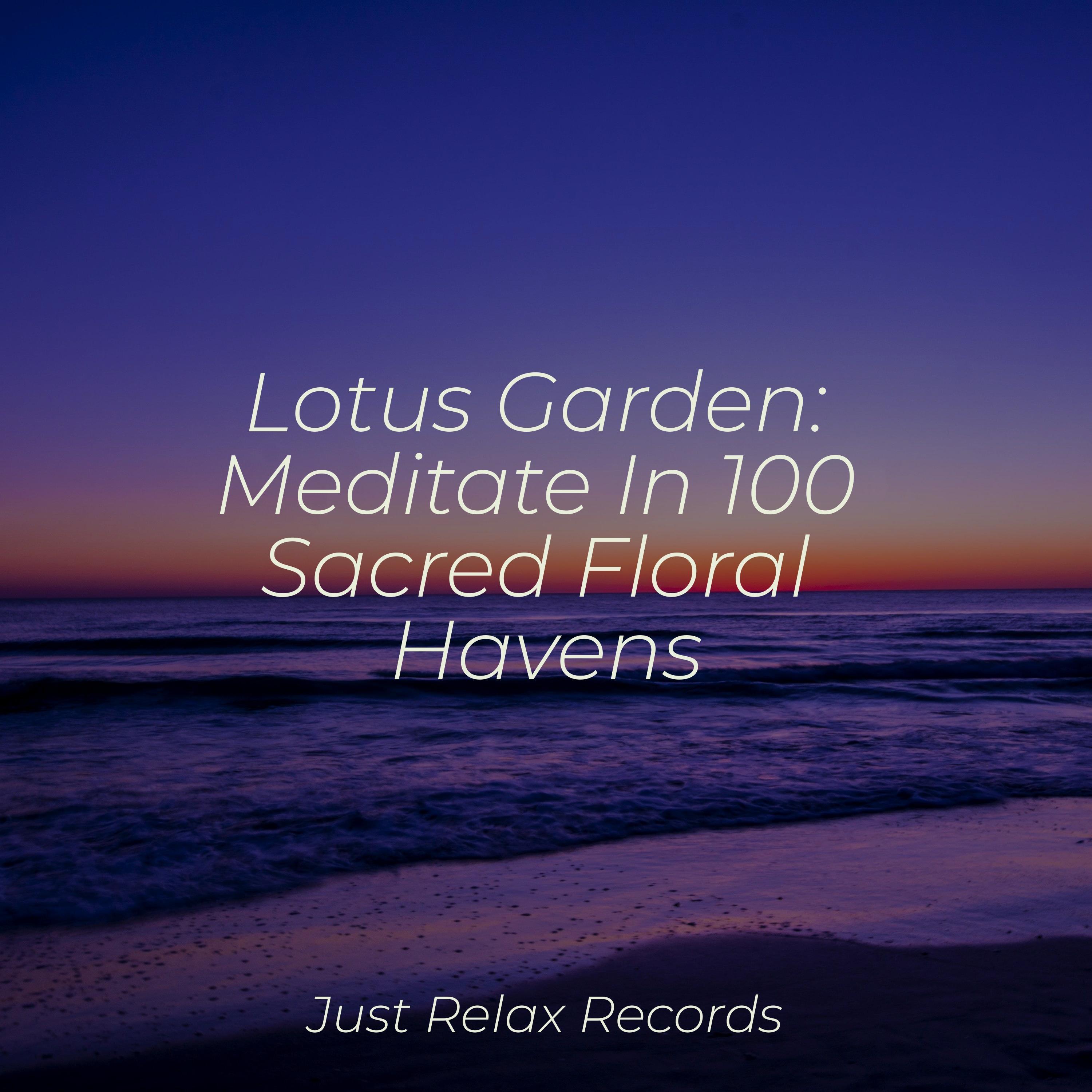 Lotus Garden: Meditate In 100 Sacred Floral Havens