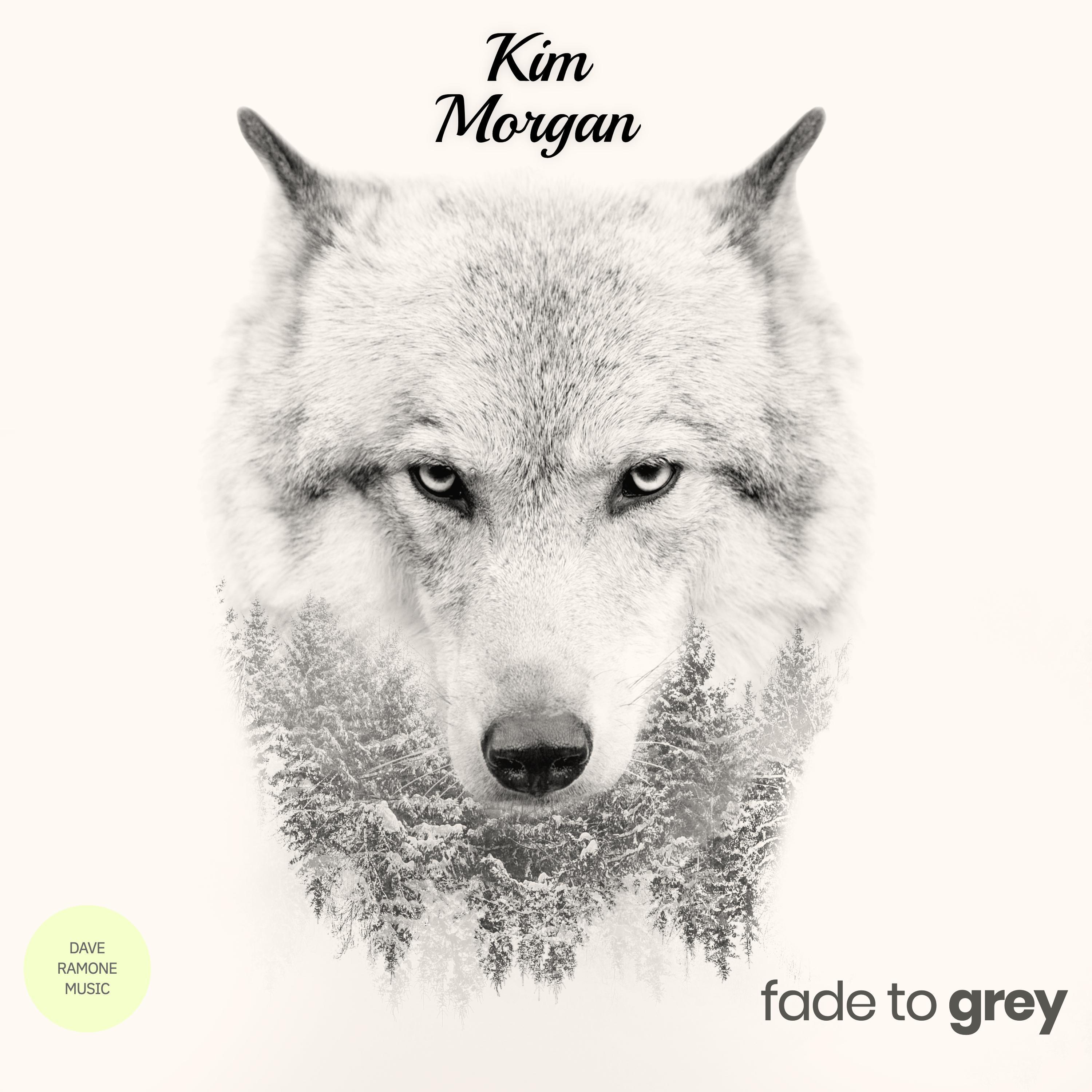 Fade to Grey