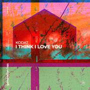 I Think I Love You (Extended Mix)