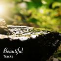 #12 Beautiful Tracks for Yoga专辑