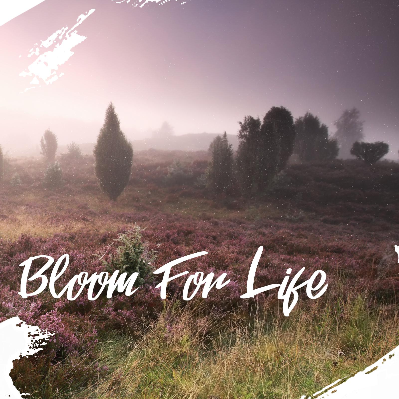 Bloom For Life专辑