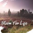 Bloom For Life专辑