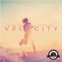 Velocity