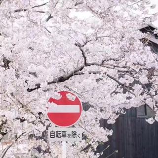 重度失眠歌单白噪音