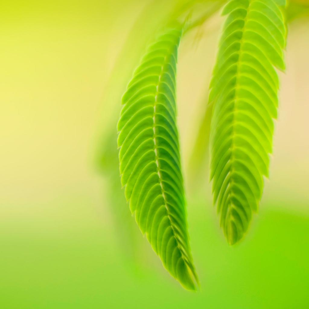 用三十三万首听歌量，凝一张纯音乐歌单