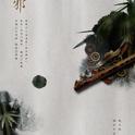 东邪 - 记·黄药师专辑