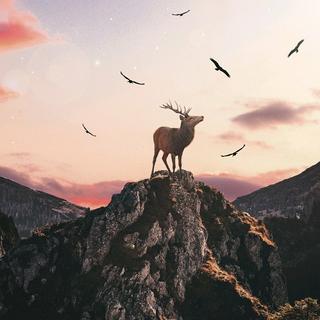 耳朵怀孕 | 每一首都是单曲循环