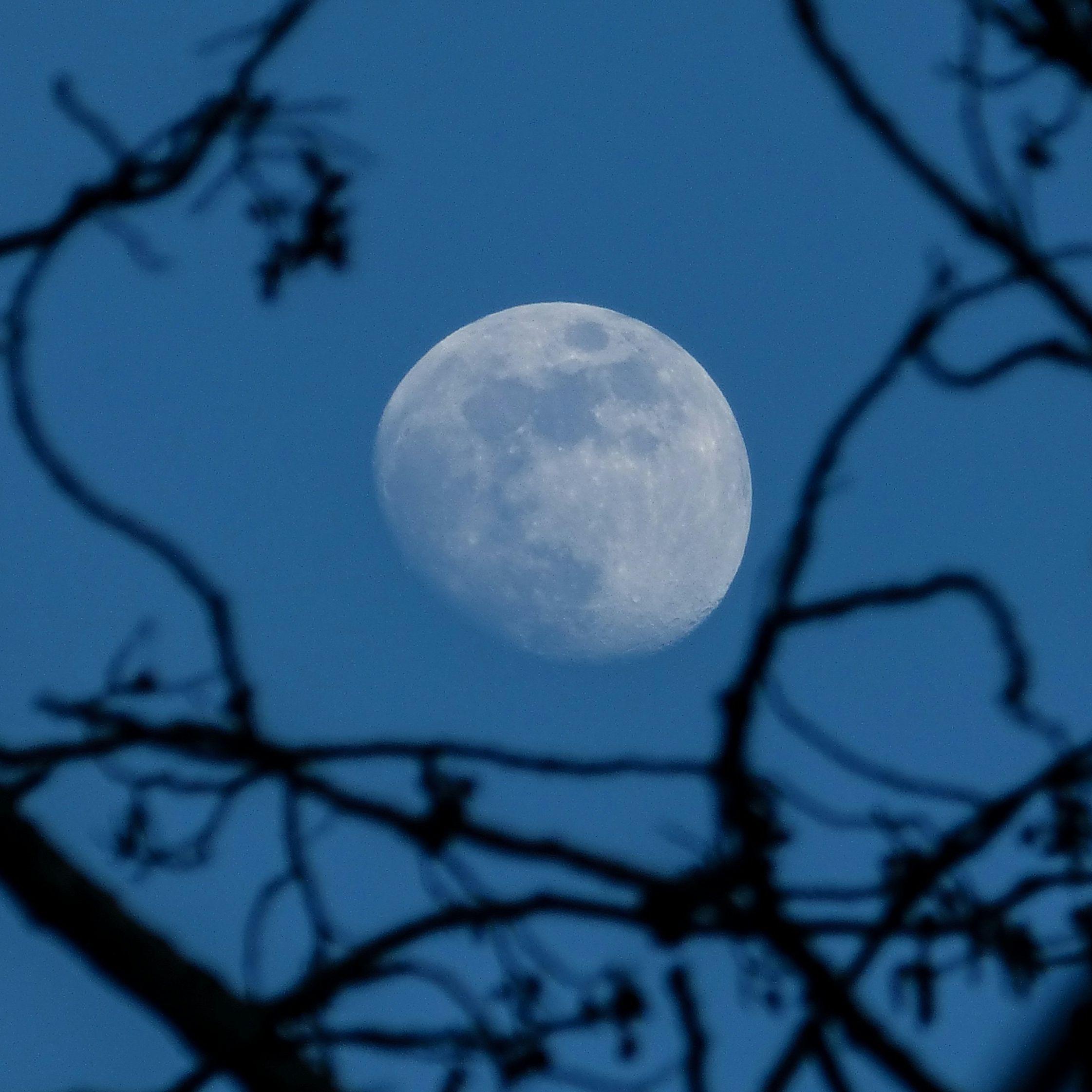 fullmoon