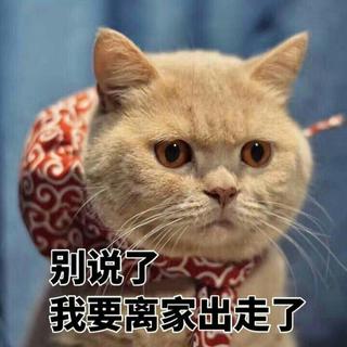 「音乐动物园」除了猫我还想吸.........⊙_⊙
