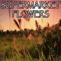 Ed Sheeran - Supermarket Flowers (instrumental}