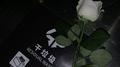 别走远专辑