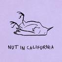 Not In California专辑