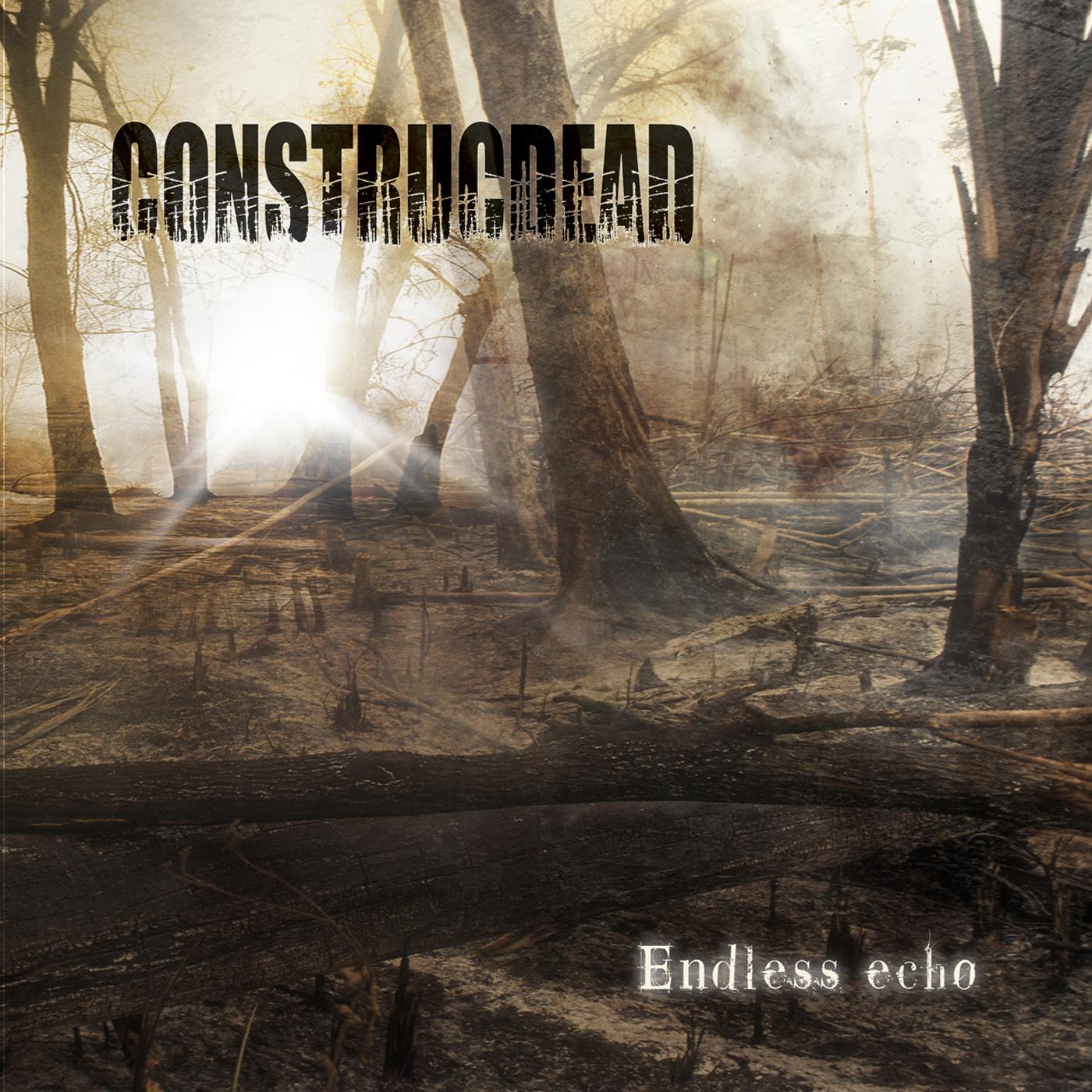 Endless Echo