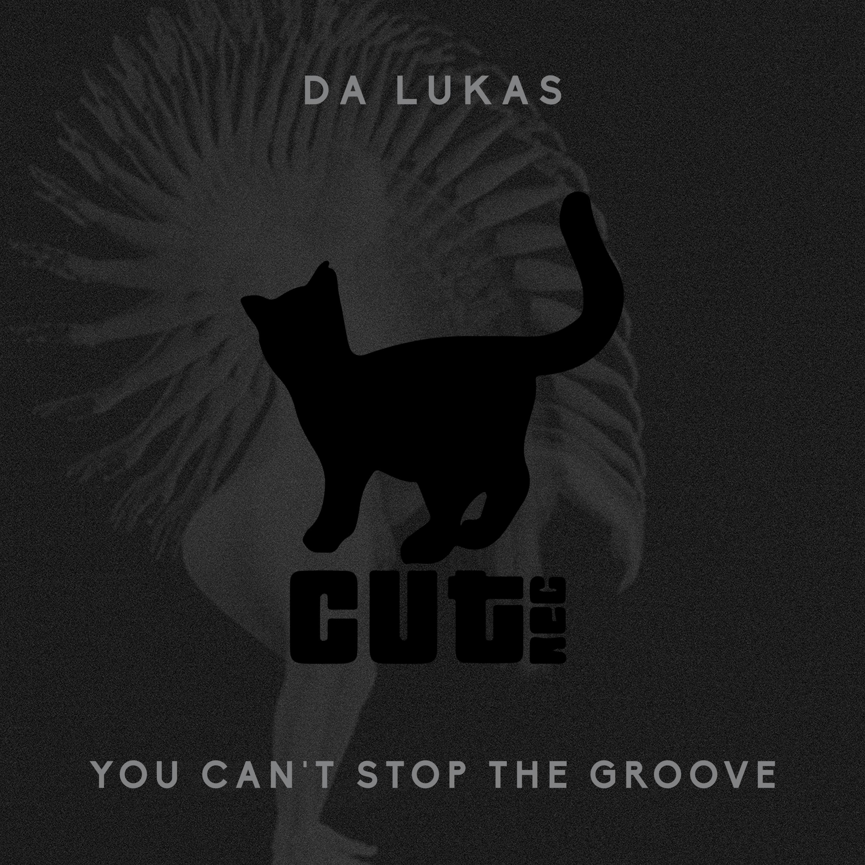 You Can't Stop the Groove