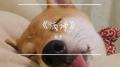 滴谛专辑