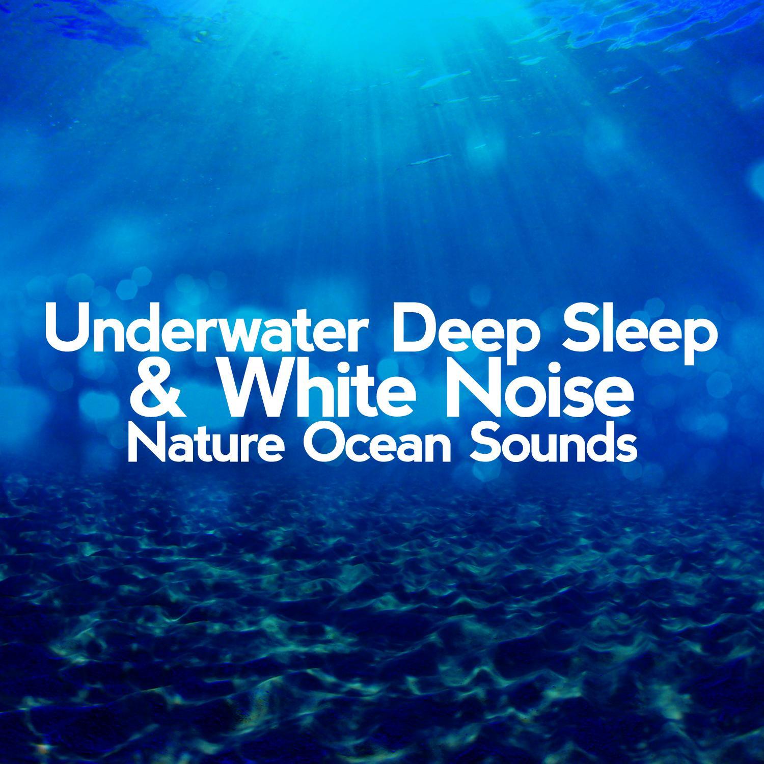 Underwater Deep Sleep & White Noise, Nature Ocean Sounds