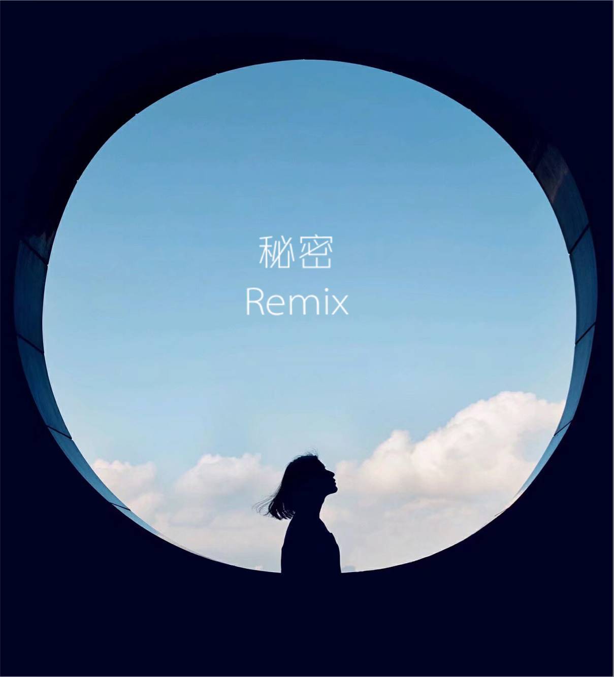 秘密Remix专辑