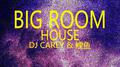 big room house专辑