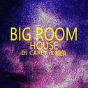 big room house专辑