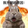 Beats专属