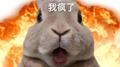 Beats专属专辑