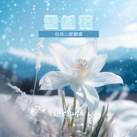 土豆王国小乐队 - 雪绒花