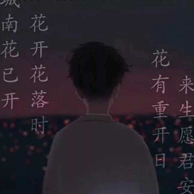 城南花已开，墨茶花未落