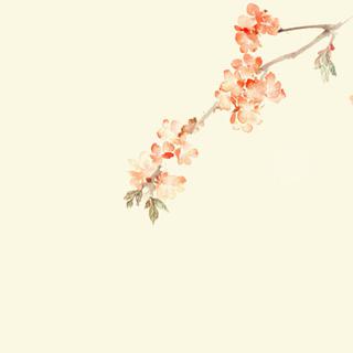 【欧美控】温情的吉他小调