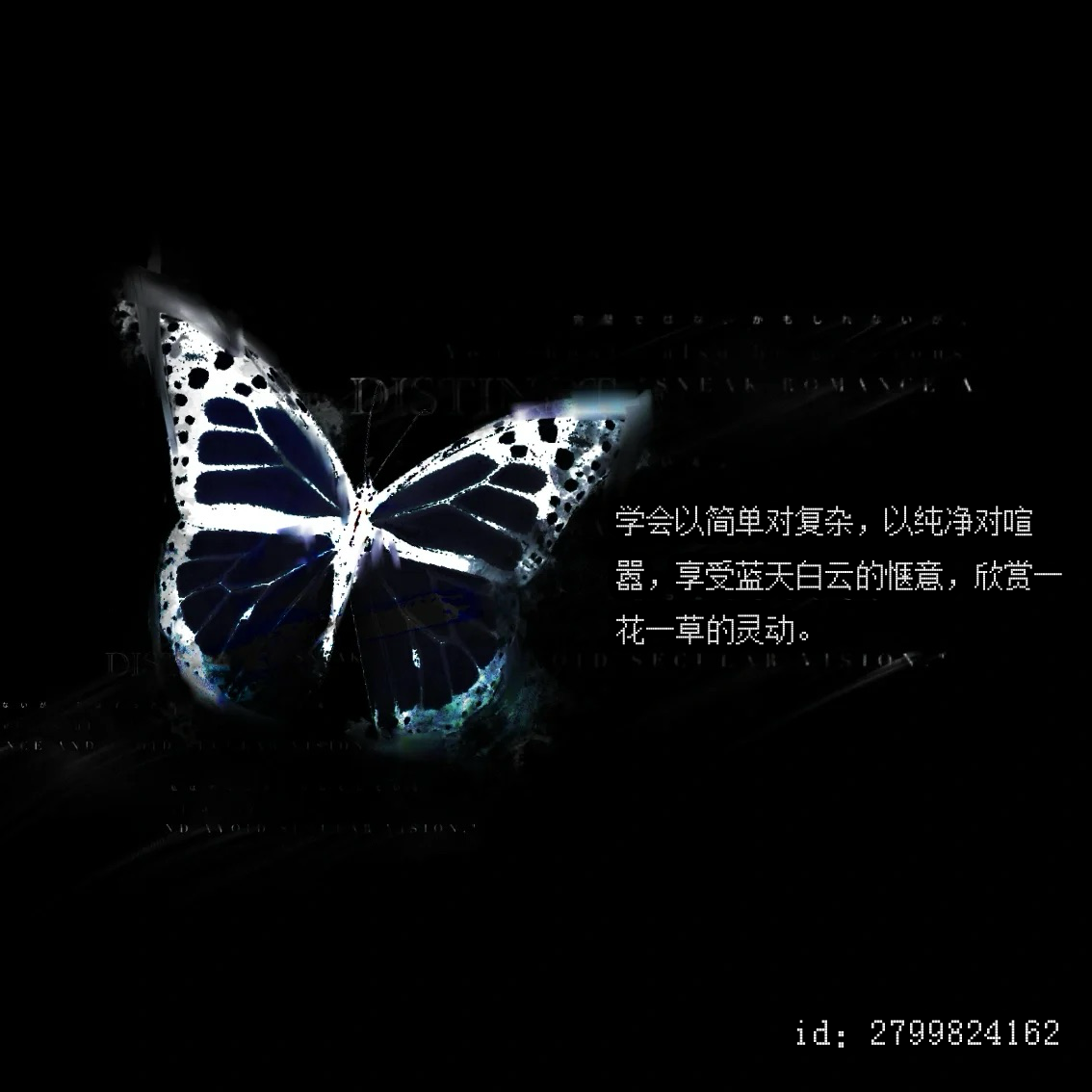 视线专辑