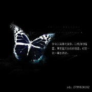 视线