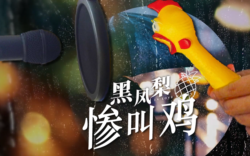 黑凤梨专辑