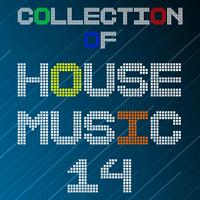 Collection of House Music, Vol. 14