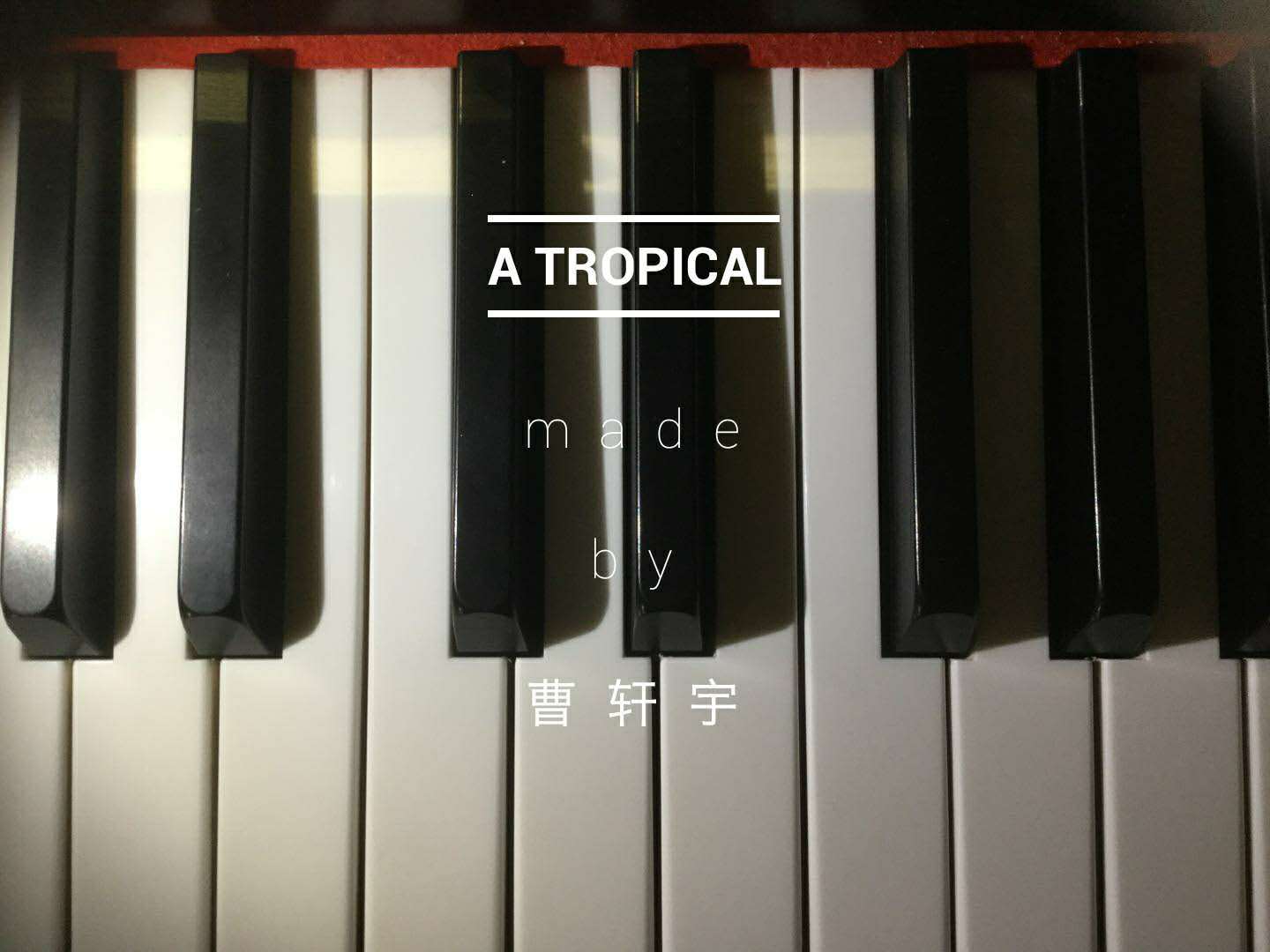 A TROPICAL专辑