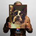 Tido