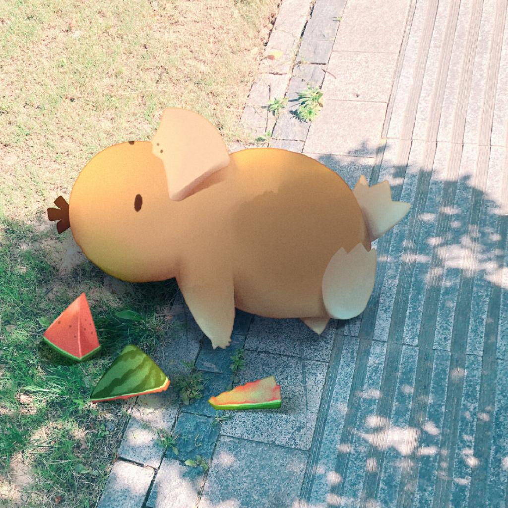 乐队篇 · 夏日独有的热烈与温柔