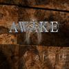 awake - A Perfect Life