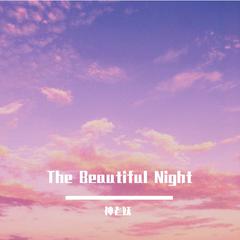 The Beautiful Night