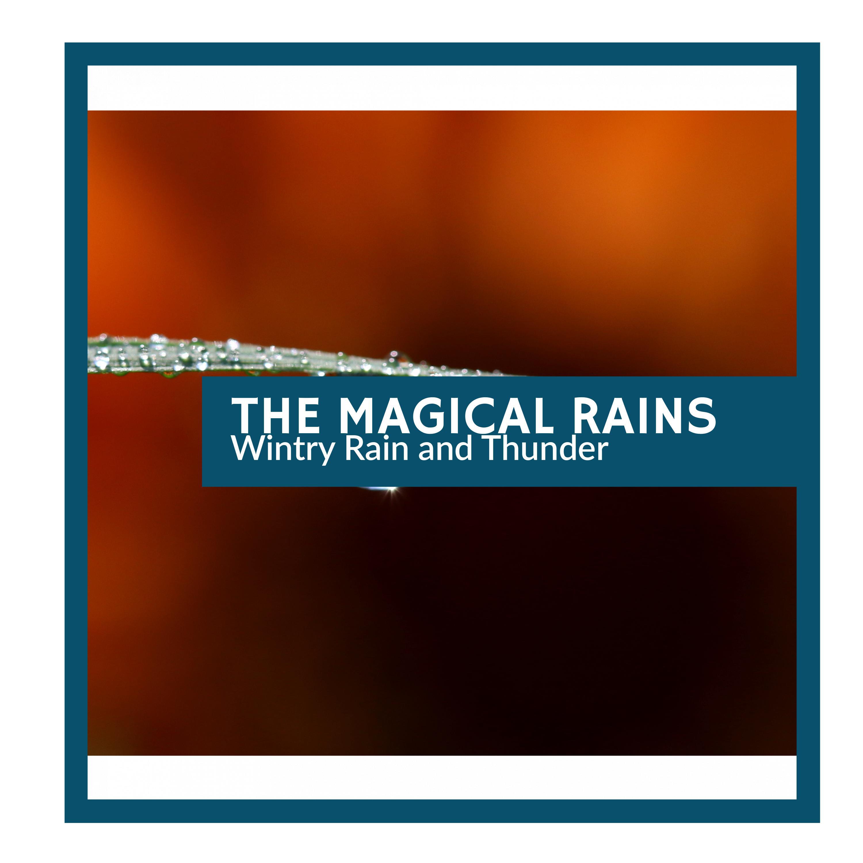 Magical Healing Raindrops Music - Soft Words