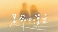 是命中注定专辑