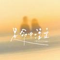 是命中注定专辑
