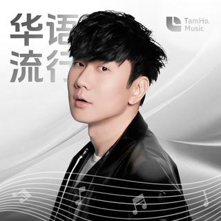 华语经典 | 那些属于我们青春的一首歌曲