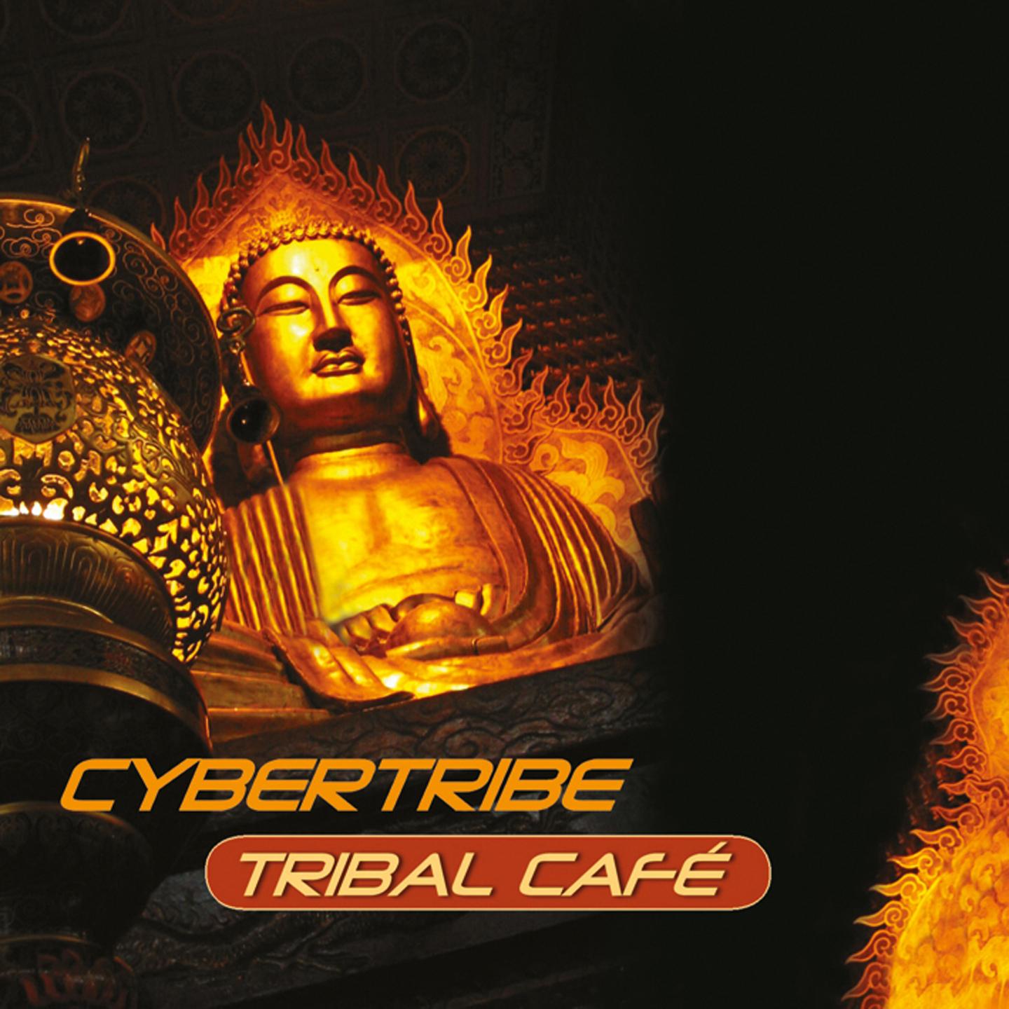 Cybertribe专辑