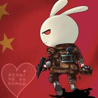 2018网络青晚