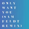 Only Want You (Sam Feldt Remix)