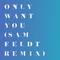 Only Want You (Sam Feldt Remix)专辑