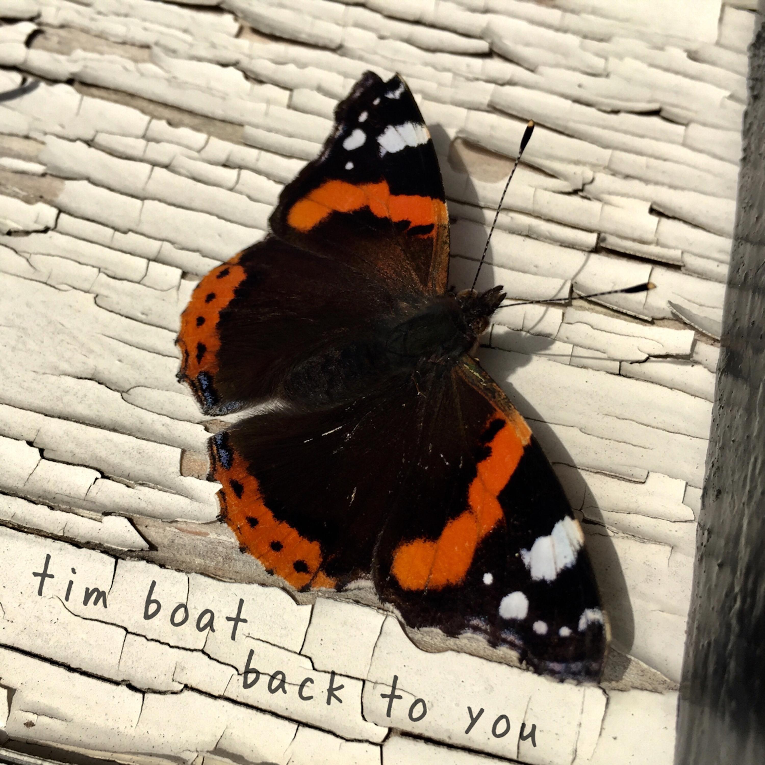 Back to You