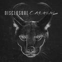 Caracal (Deluxe)专辑